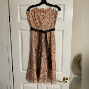 Corey Lynn Calter Dusty Rose Lace Vintage Romantic Dress Size 10